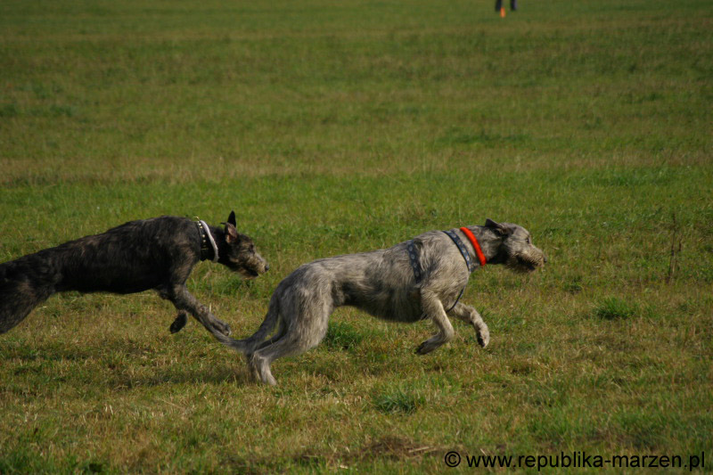 IMG_9544 Tullamore Cup 08