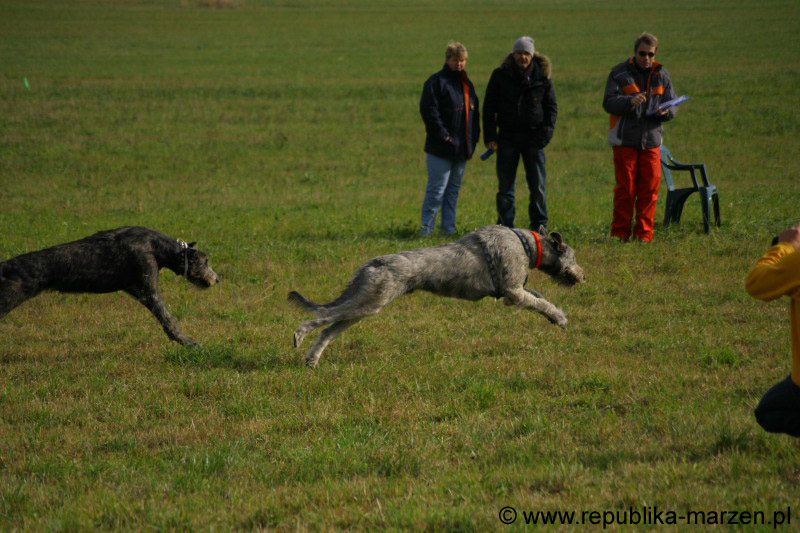 IMG_9545 Tullamore Cup 08