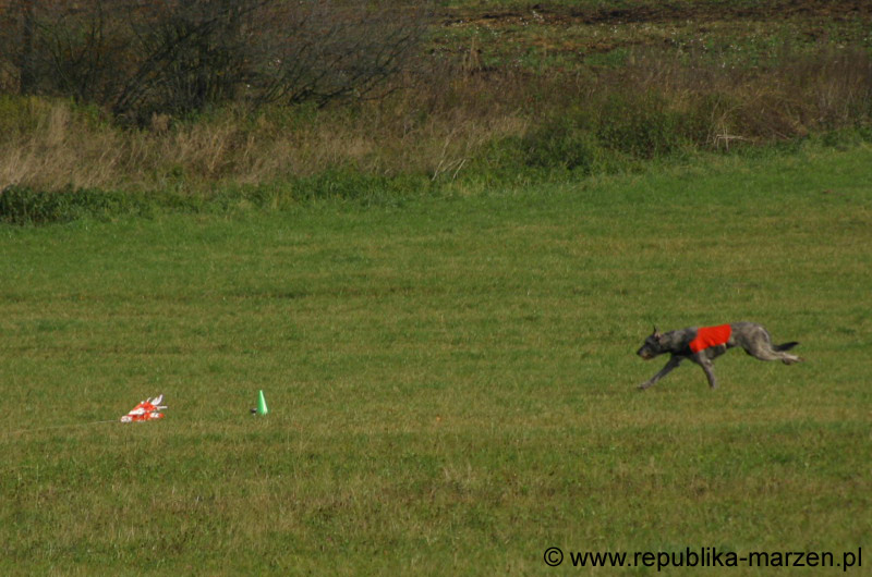 IMG_9557 Tullamore Cup 08
