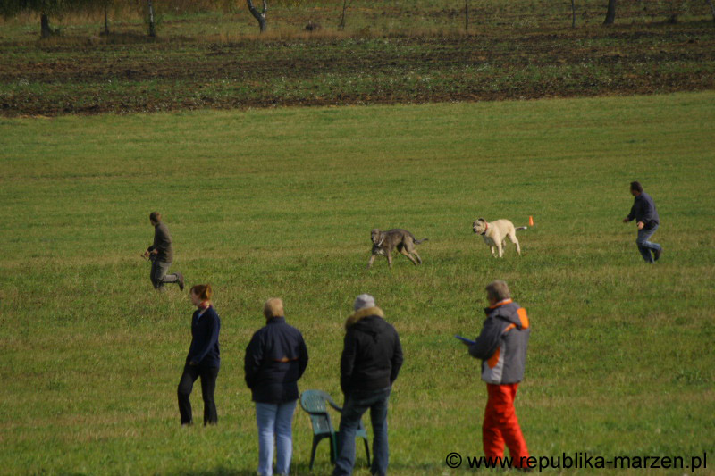 IMG_9561 Tullamore Cup 08