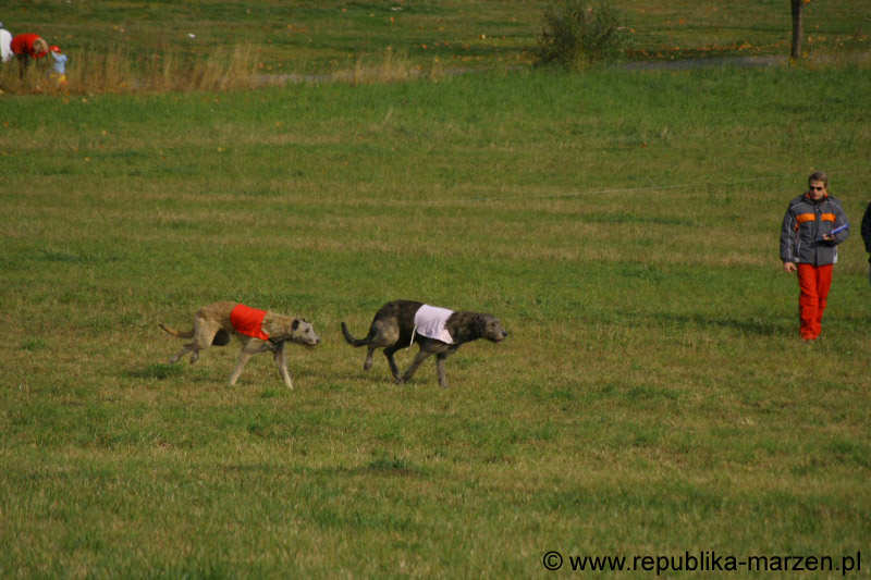 IMG_9568 Tullamore Cup 08