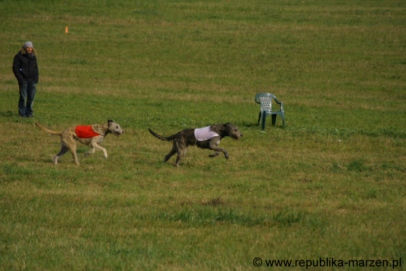 IMG_9570 Tullamore Cup 08