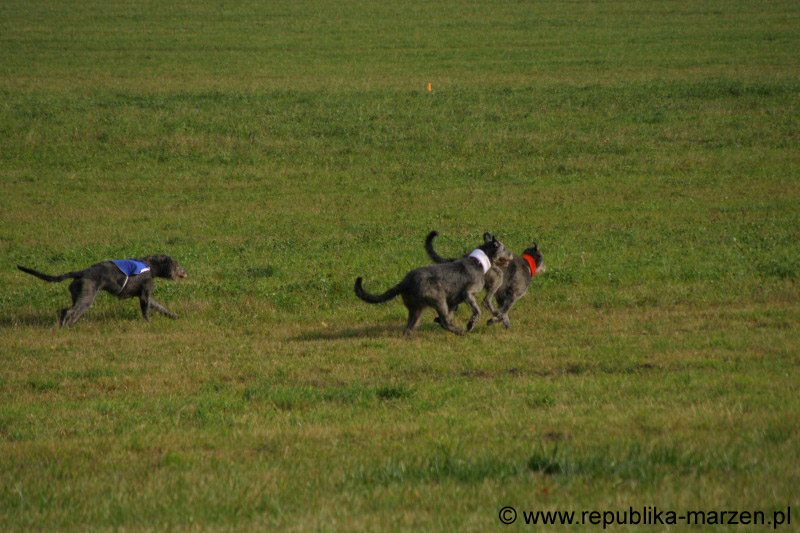 IMG_9573 Tullamore Cup 08