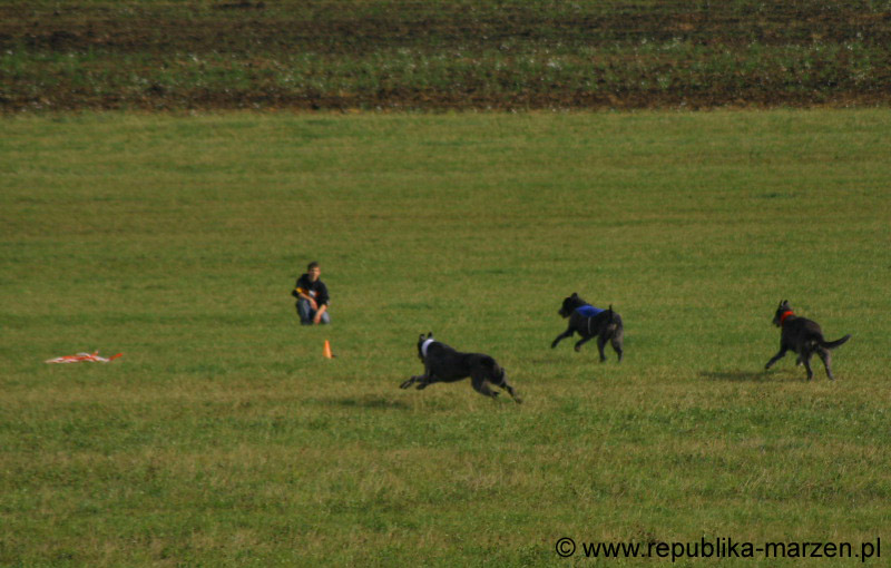IMG_9575 Tullamore Cup 08