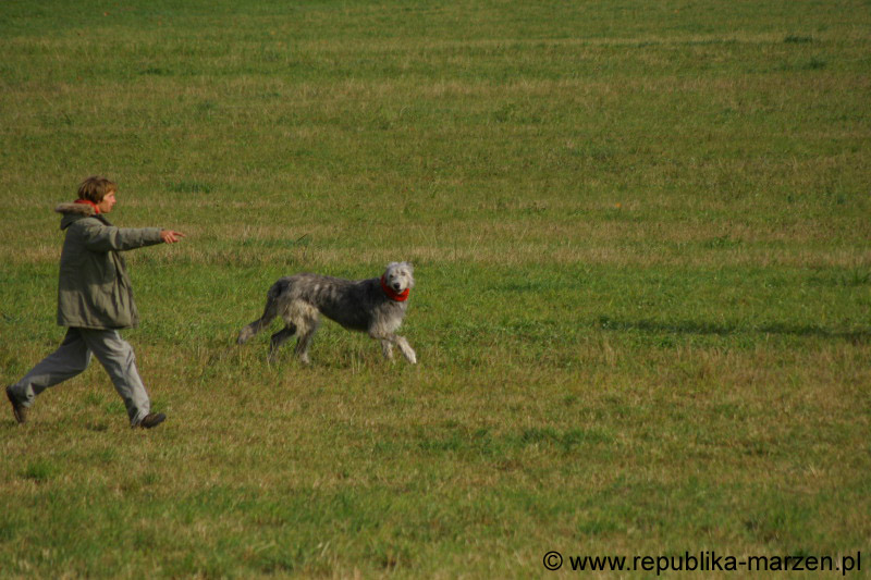 IMG_9577 Tullamore Cup 08