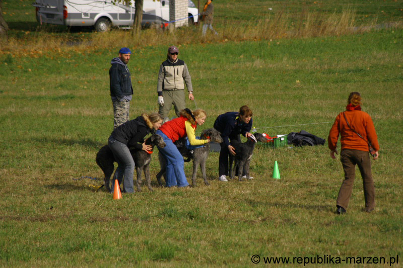 IMG_9580 Tullamore Cup 08