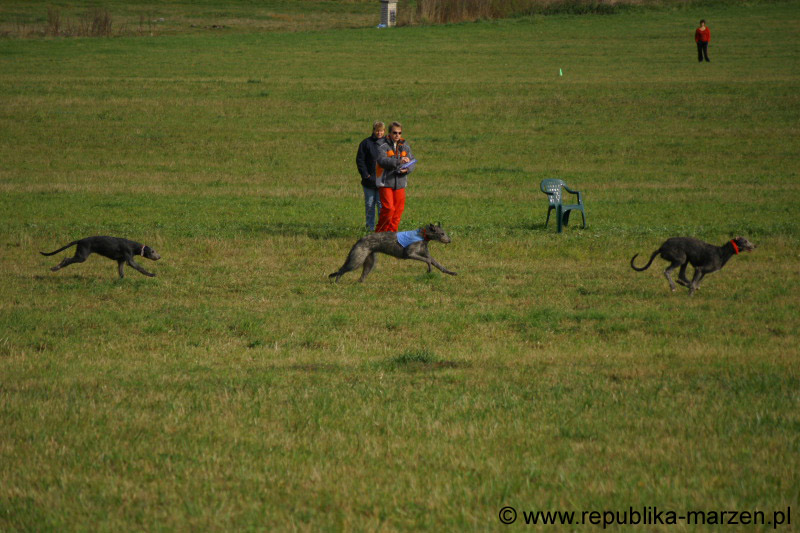 IMG_9582 Tullamore Cup 08