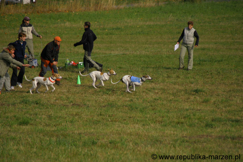 IMG_9588 Tullamore Cup 08