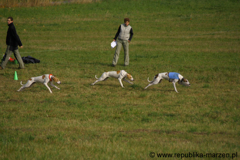 IMG_9589 Tullamore Cup 08