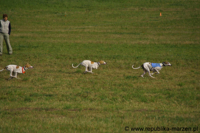 IMG_9590 Tullamore Cup 08