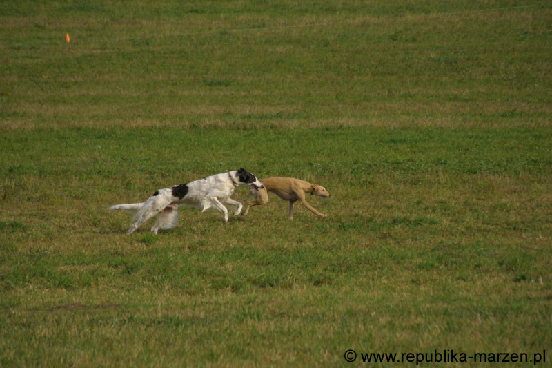 IMG_9593 Tullamore Cup 08