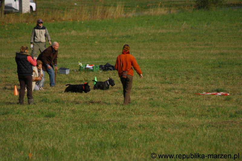 IMG_9613 Tullamore Cup 08