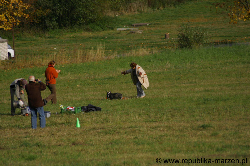 IMG_9629 Tullamore Cup 08