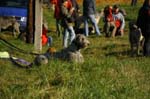 IMG_9227 Tullamore Cup 08