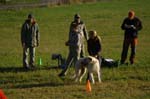 IMG_9251 Tullamore Cup 08