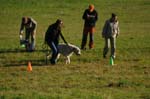 IMG_9257 Tullamore Cup 08