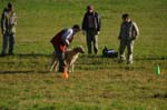 IMG_9272 Tullamore Cup 08