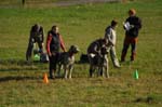 IMG_9302 Tullamore Cup 08