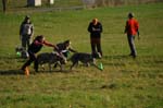 IMG_9304 Tullamore Cup 08