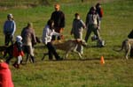 IMG_9317 Tullamore Cup 08