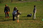 IMG_9322 Tullamore Cup 08