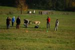 IMG_9337 Tullamore Cup 08