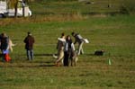 IMG_9369 Tullamore Cup 08