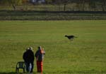 IMG_9378 Tullamore Cup 08