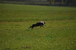 IMG_9382 Tullamore Cup 08