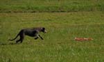 IMG_9398 Tullamore Cup 08