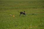 IMG_9400 Tullamore Cup 08