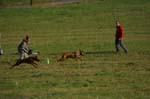 IMG_9447 Tullamore Cup 08