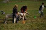 IMG_9488 Tullamore Cup 08