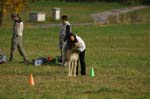 IMG_9527 Tullamore Cup 08