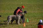 IMG_9539 Tullamore Cup 08