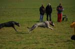 IMG_9545 Tullamore Cup 08