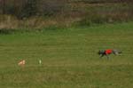 IMG_9557 Tullamore Cup 08