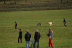 IMG_9561 Tullamore Cup 08