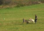 IMG_9563 Tullamore Cup 08