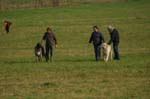 IMG_9566 Tullamore Cup 08