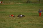 IMG_9568 Tullamore Cup 08
