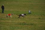 IMG_9570 Tullamore Cup 08