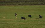 IMG_9575 Tullamore Cup 08