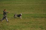IMG_9577 Tullamore Cup 08