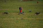 IMG_9582 Tullamore Cup 08
