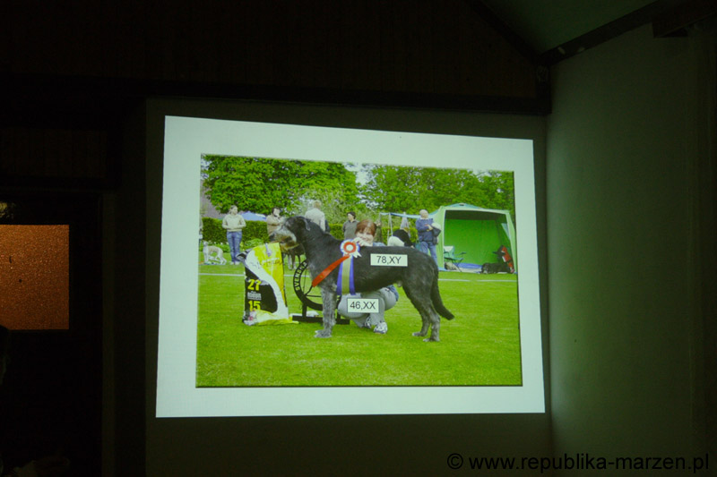 IMG_8318 Tullamore Cup 08
