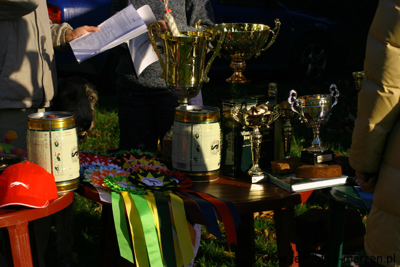 IMG_8338 Tullamore Cup 08