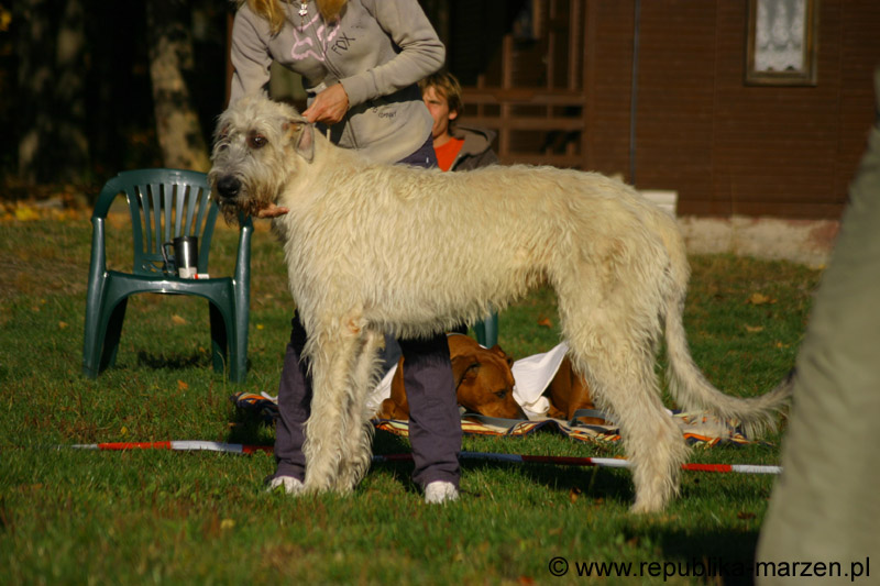 IMG_8384 Tullamore Cup 08