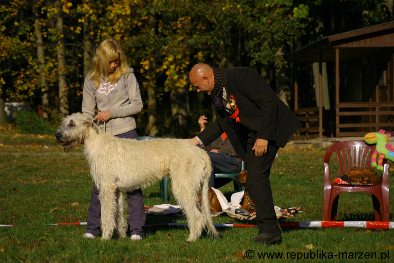IMG_8387 Tullamore Cup 08