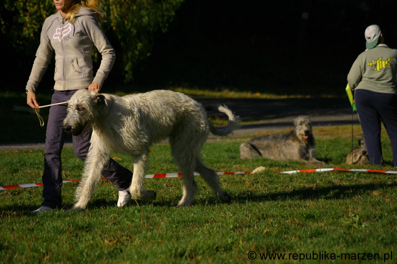 IMG_8393 Tullamore Cup 08